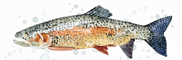 Trout: Watercolor Rainbow Trout II by Emma Caroline