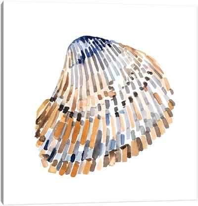 Simple Shells II Canvas Art Print - Sea Shell Art