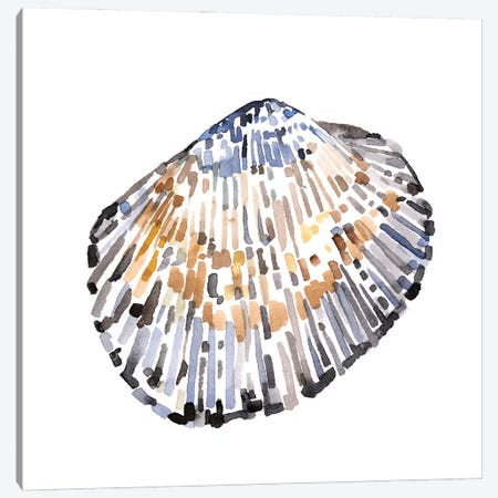 Simple Shells IV Canvas Print #EMC70} by Emma Caroline Canvas Wall Art