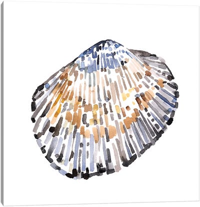 Simple Shells IV Canvas Art Print - Sea Shell Art