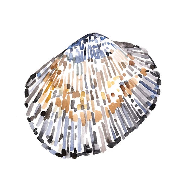Emma Caroline: Simple Shells IV by Emma Caroline