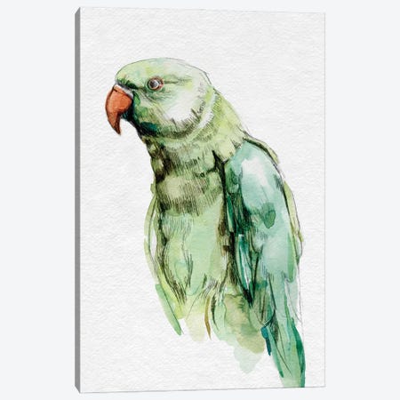 Bright Parrot Portrait I Canvas Print #EMC81} by Emma Caroline Art Print
