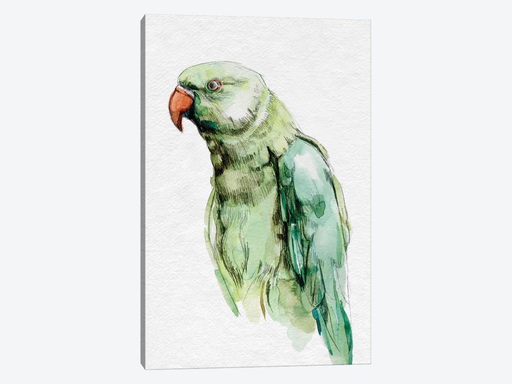 Bright Parrot Portrait I by Emma Caroline 1-piece Canvas Wall Art