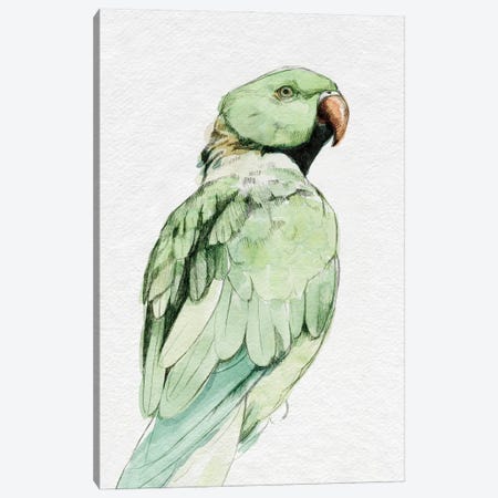 Bright Parrot Portrait II Canvas Print #EMC82} by Emma Caroline Art Print