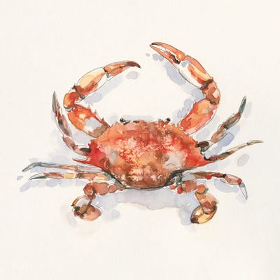 Crusty Crab I by Emma Caroline metal wall art