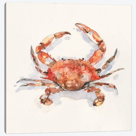 Crusty Crab I Canvas Print #EMC84} by Emma Caroline Canvas Art