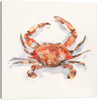 Crusty Crab I Canvas Art Print