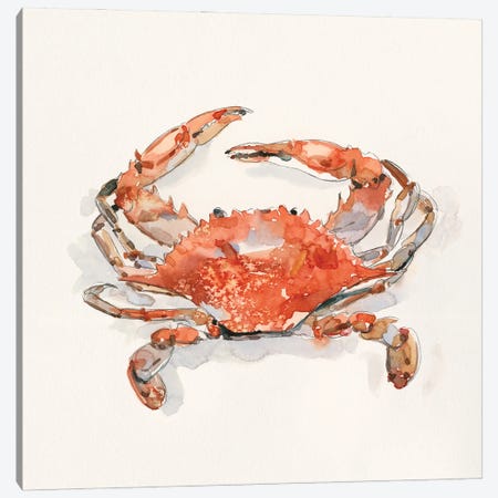 Crusty Crab II Canvas Print #EMC85} by Emma Caroline Canvas Artwork