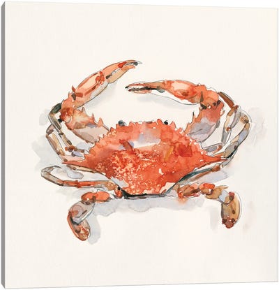 Crusty Crab II Canvas Art Print - Crab Art