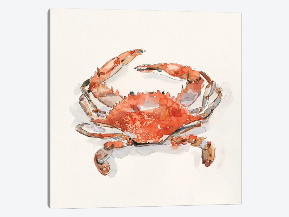 Crusty Crab II by Emma Caroline 1-piece Canvas Art