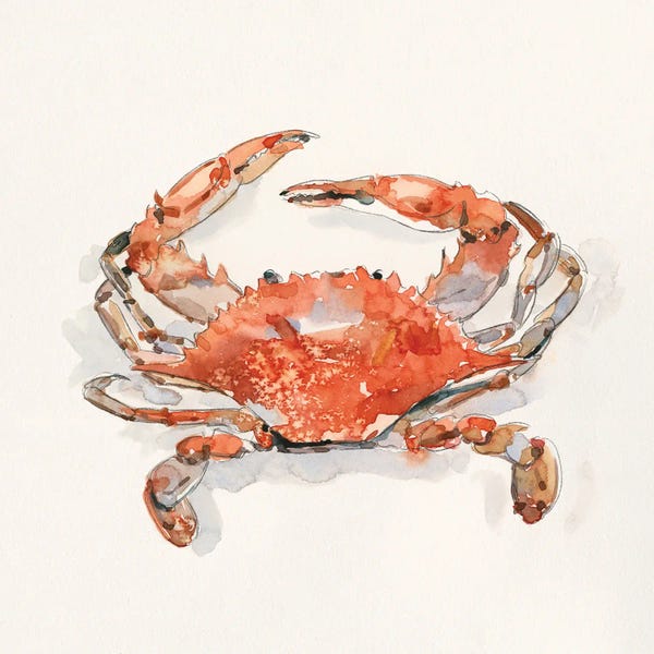 Crabs: Crusty Crab II by Emma Caroline