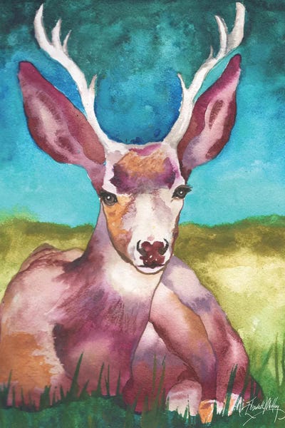 Buck in a Field I by Elizabeth Medley framed wall art