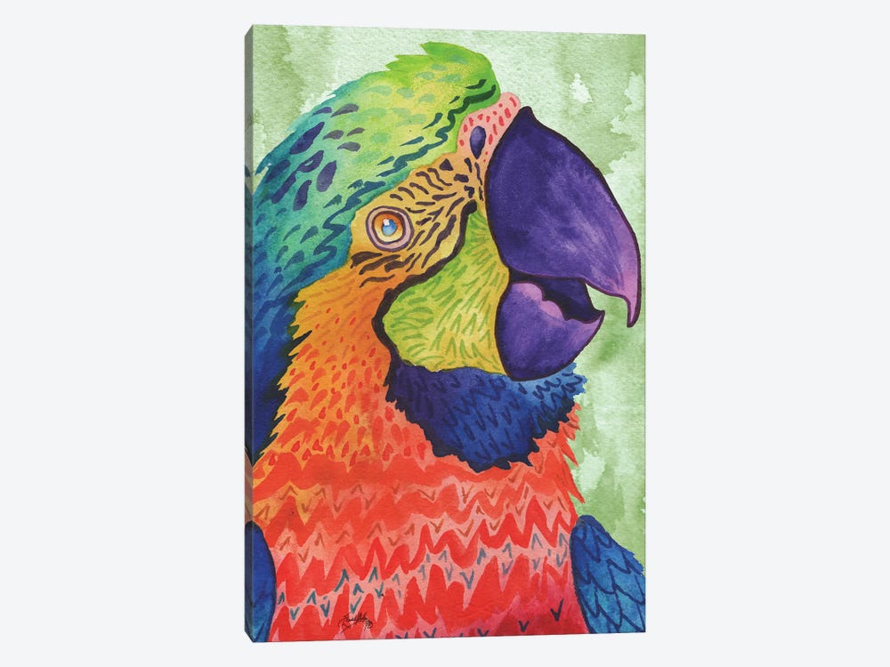 Perfect Parrot by Elizabeth Medley 1-piece Canvas Wall Art