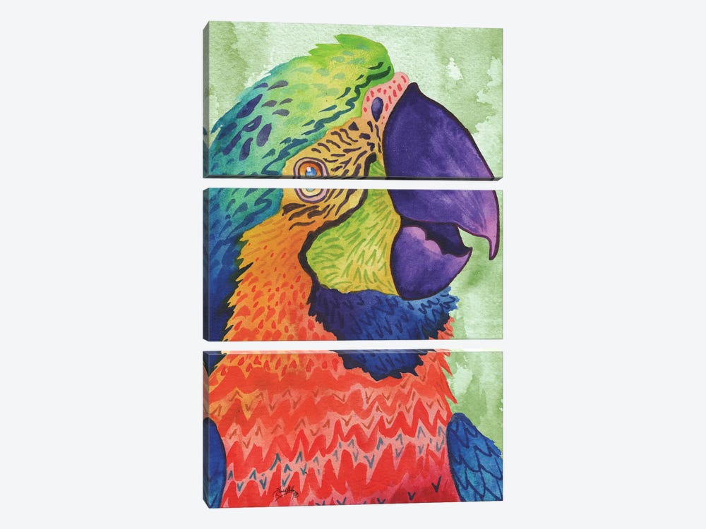 Perfect Parrot by Elizabeth Medley 3-piece Canvas Artwork