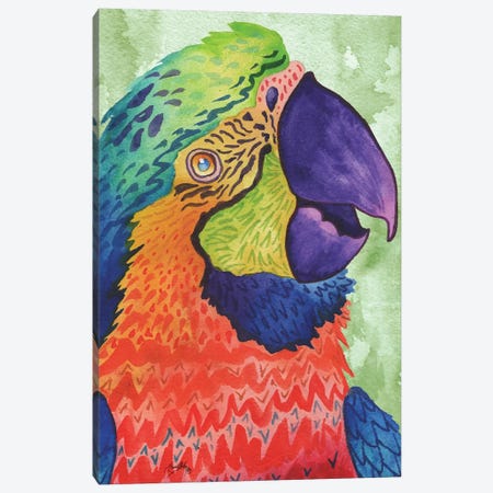 Perfect Parrot Canvas Print #EMD13} by Elizabeth Medley Art Print