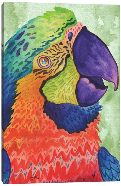 Perfect Parrot Canvas Art Print - Elizabeth Medley