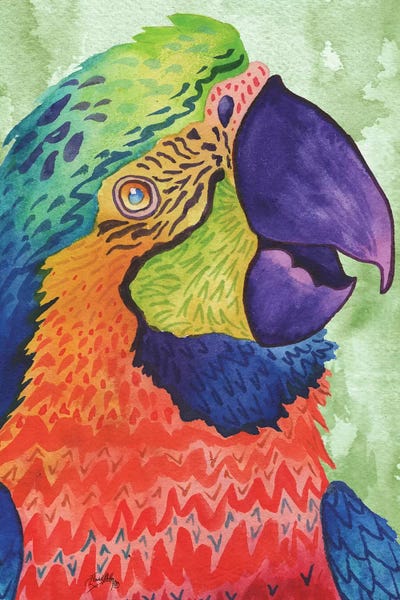 Parrots: Perfect Parrot by Elizabeth Medley
