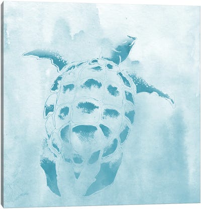 Washed Teal Aquatic Turtle Canvas Art Print - Elizabeth Medley