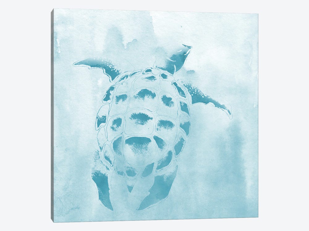 Washed Teal Aquatic Turtle by Elizabeth Medley 1-piece Canvas Print
