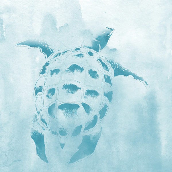 Turtles: Washed Teal Aquatic Turtle by Elizabeth Medley