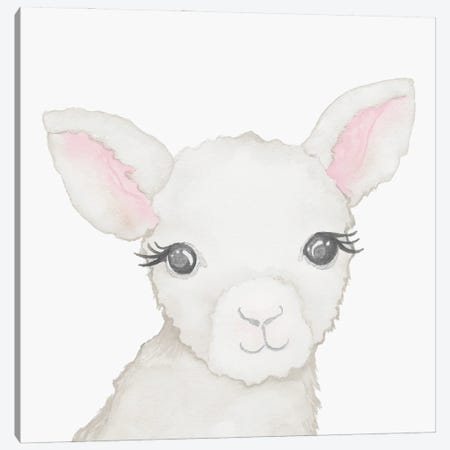 Baby Lamb Canvas Print #EMD153} by Elizabeth Medley Canvas Art