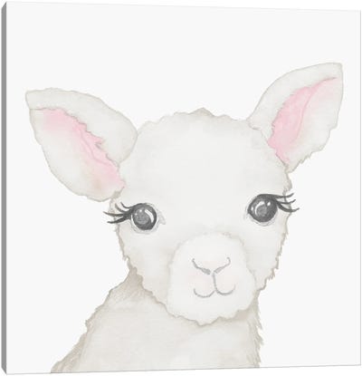 Baby Lamb Canvas Art Print - Elizabeth Medley