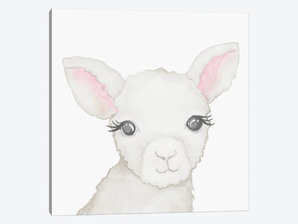 Baby Lamb by Elizabeth Medley 1-piece Canvas Art Print