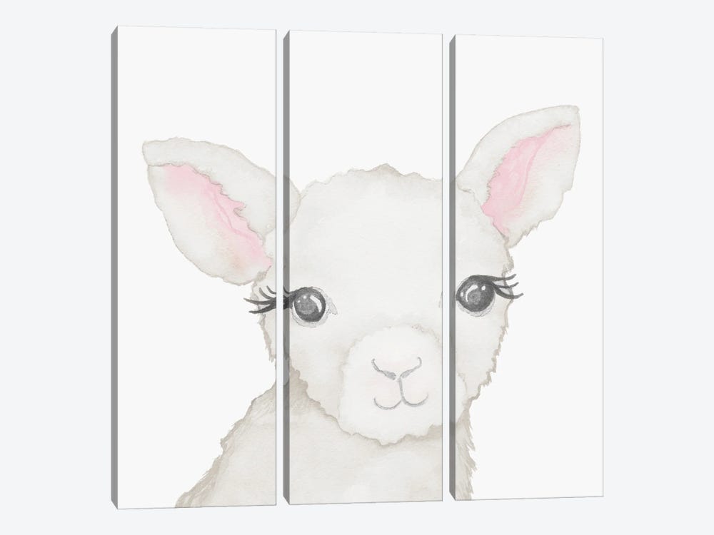 Baby Lamb by Elizabeth Medley 3-piece Canvas Art Print