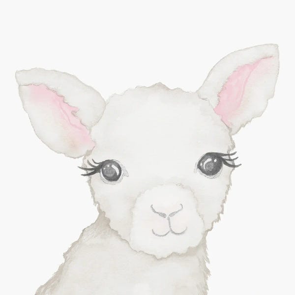 Elizabeth Medley: Baby Lamb by Elizabeth Medley