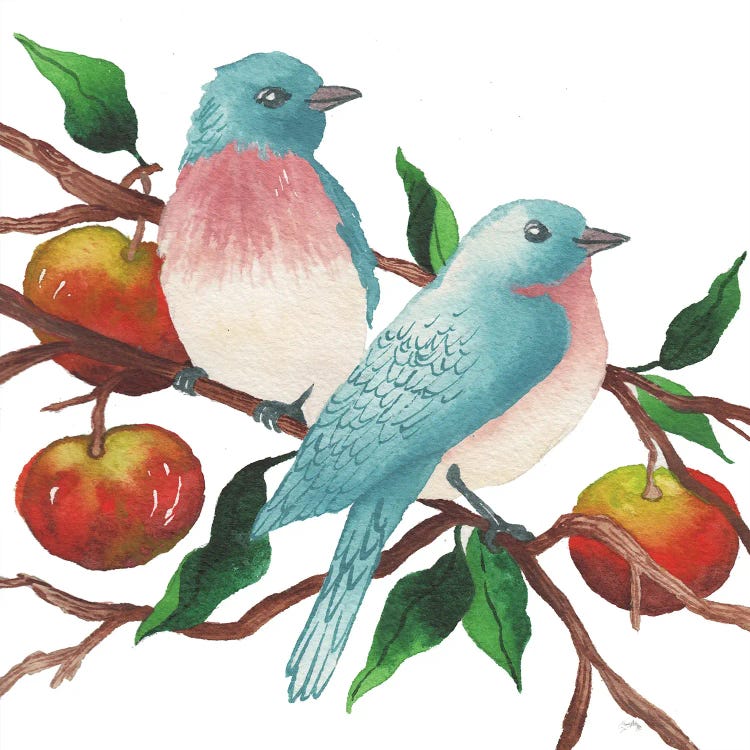 Birds And Apples