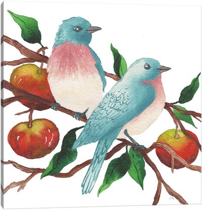 Birds And Apples Canvas Art Print - Elizabeth Medley