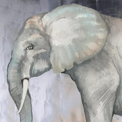 Elephant by Elizabeth Medley acrylic art print