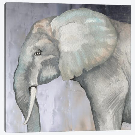 Elephant Canvas Print #EMD161} by Elizabeth Medley Canvas Print