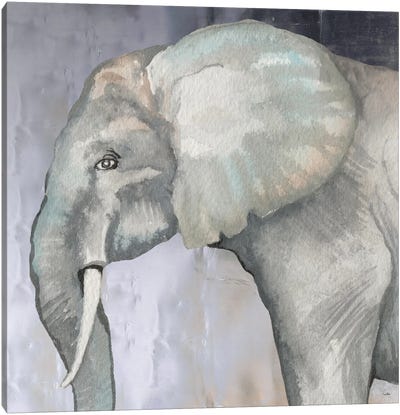 Elephant Canvas Art Print - Elizabeth Medley