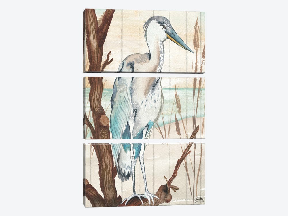 Heron On Branch I by Elizabeth Medley 3-piece Canvas Artwork