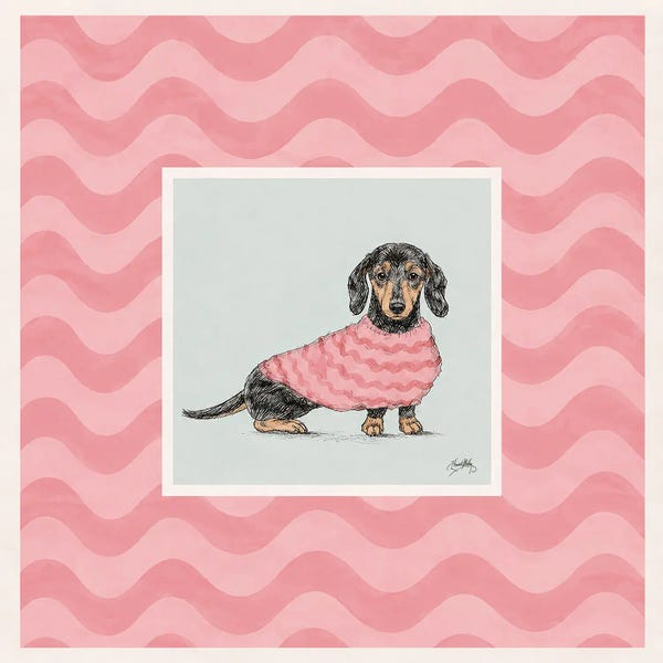 Dachshund In Pink