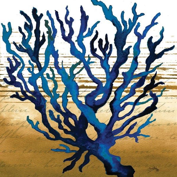 Coral: Coastal Blue I by Elizabeth Medley