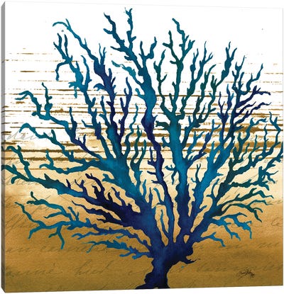 Coastal Blue II Canvas Art Print - Coral Art