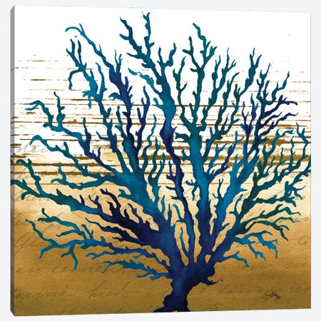 Coastal Blue II Canvas Print #EMD26} by Elizabeth Medley Art Print