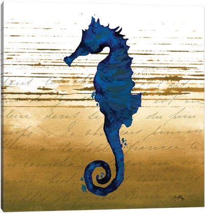 Coastal Blue III Canvas Art Print - Seahorse Art