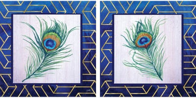 Peacock Feather Diptych by Elizabeth Medley multi panel art
