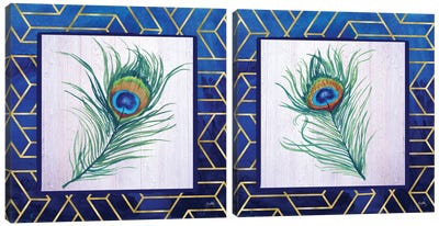Peacock Feather Diptych Canvas Art Print - Elizabeth Medley