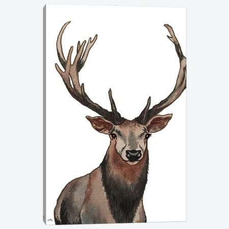 Elk Canvas Print #EMD30} by Elizabeth Medley Canvas Print