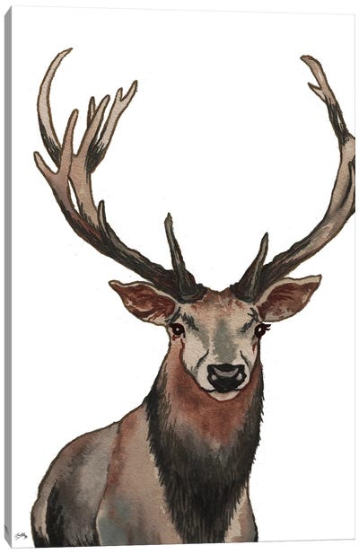 Elk Canvas Art Print - Elizabeth Medley