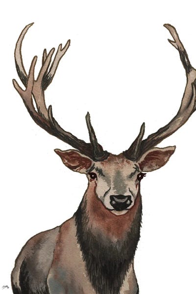 Elizabeth Medley: Elk by Elizabeth Medley