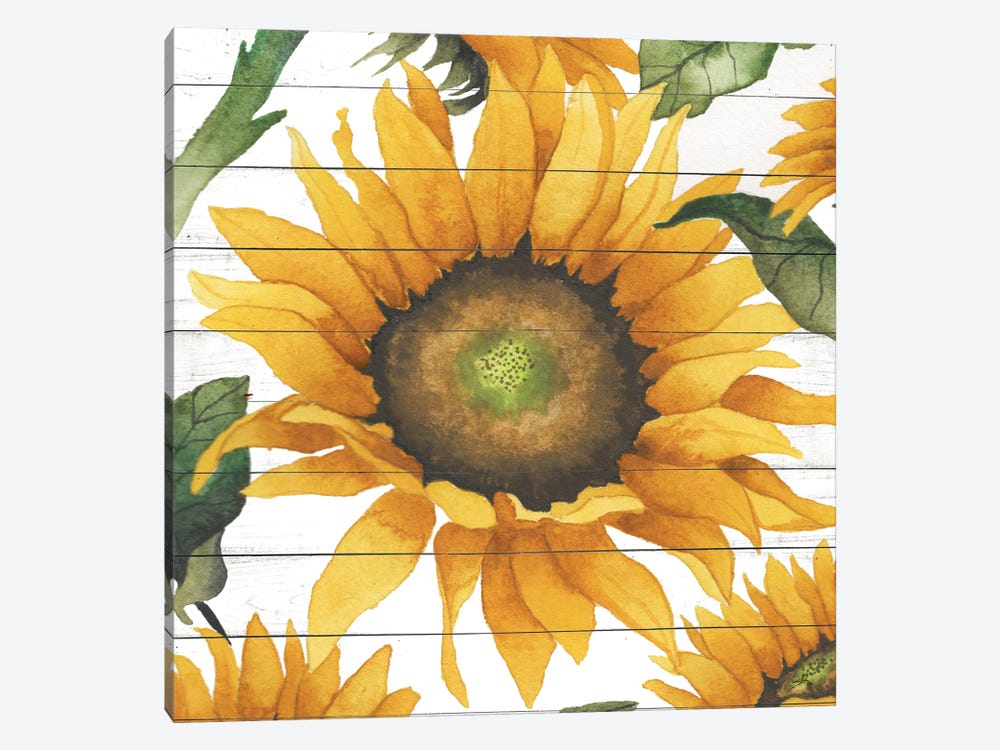 Happy Sunflower I by Elizabeth Medley 1-piece Canvas Print