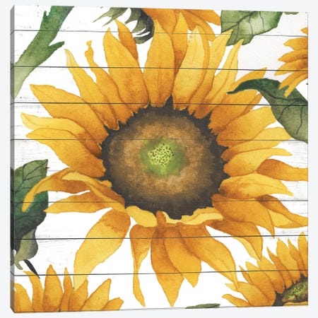 Happy Sunflower I Canvas Print #EMD34} by Elizabeth Medley Canvas Wall Art