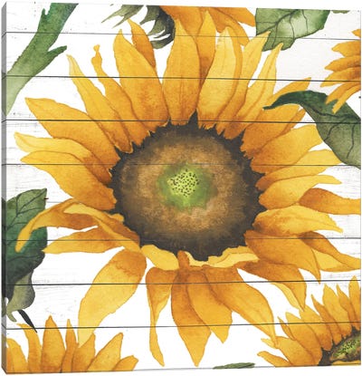 Happy Sunflower I Canvas Art Print - Elizabeth Medley