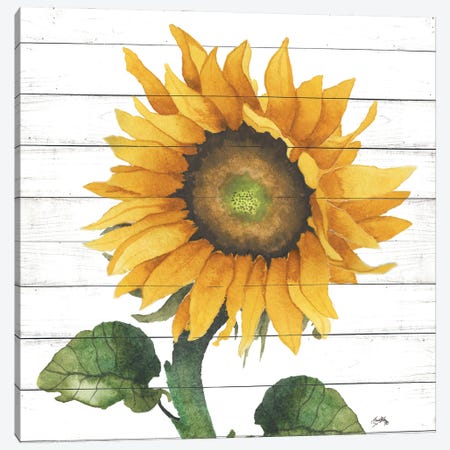 Happy Sunflower II Canvas Print #EMD35} by Elizabeth Medley Canvas Wall Art