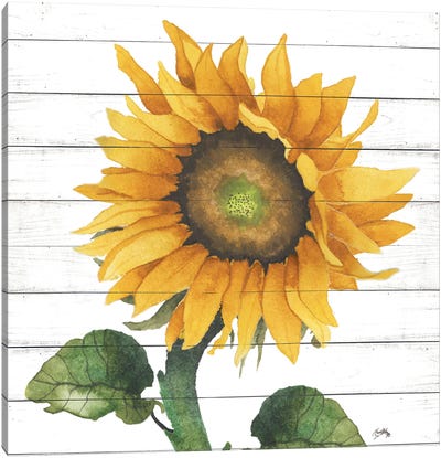 Happy Sunflower II Canvas Art Print - Sunflower Art